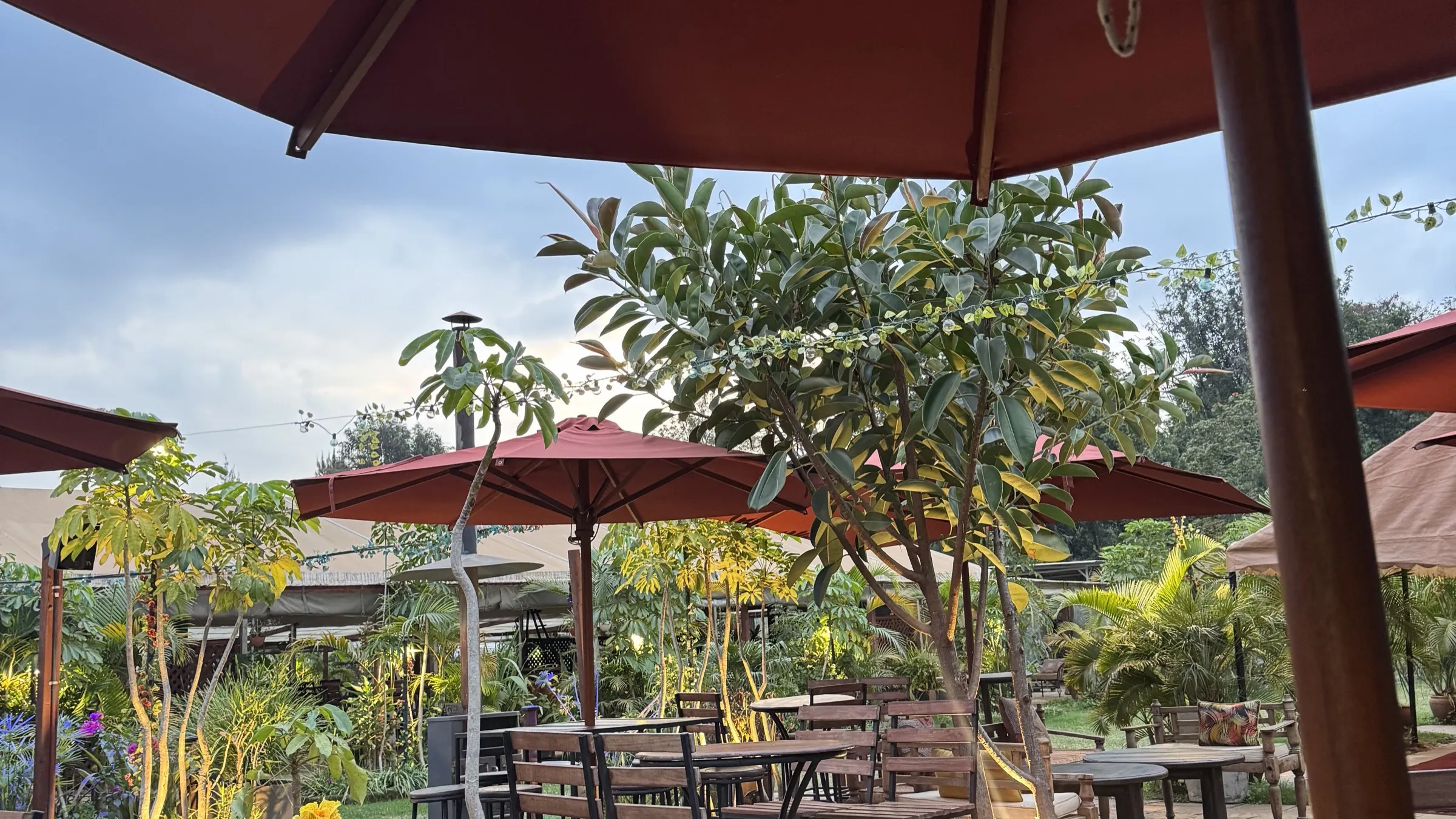 An outdoor summer patio shaded by several offset patio umbrellas over tables under lush greenery