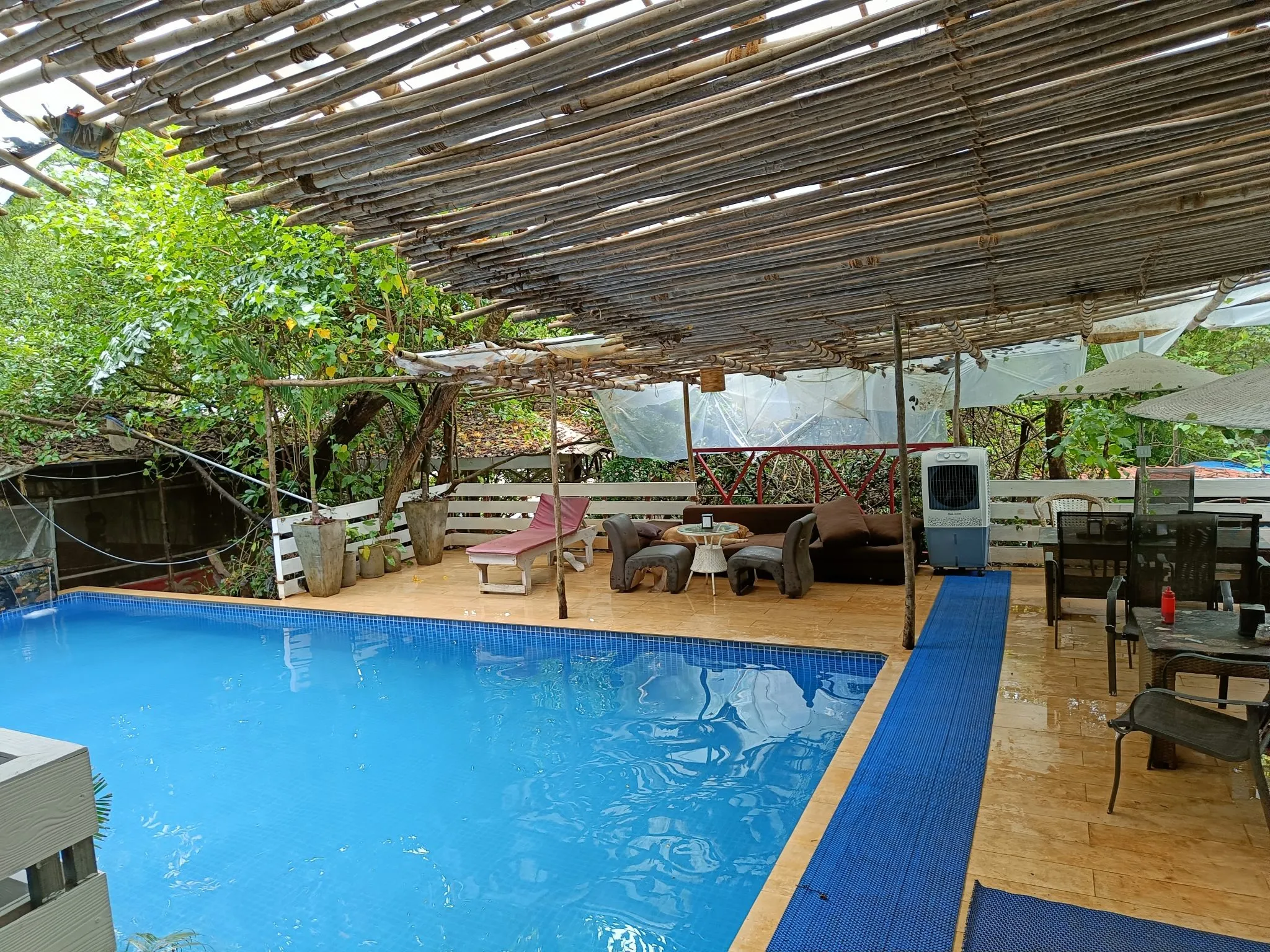 In-ground pool surrounded by mature trees and planting, the conditions a leaf net is bought for
